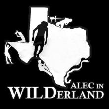 Alec in WILDerland