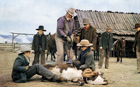 The Cowboys (1972) - IMDb