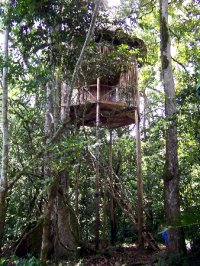 the-treehouse