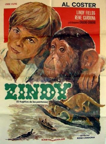 Zindy the Swamp Boy poster