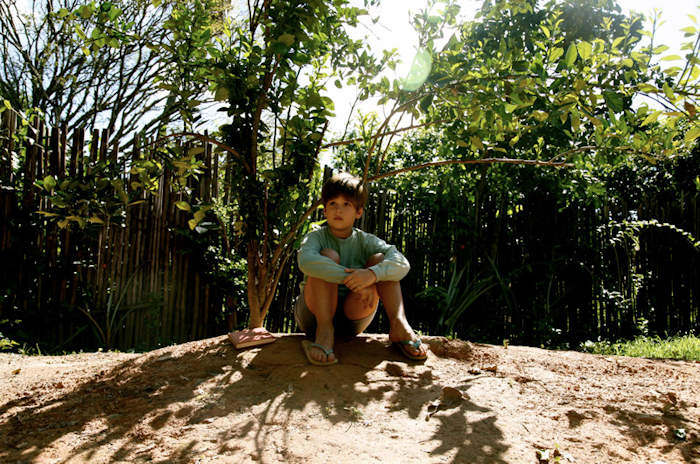 Zeze and his Sweet Orange Tree