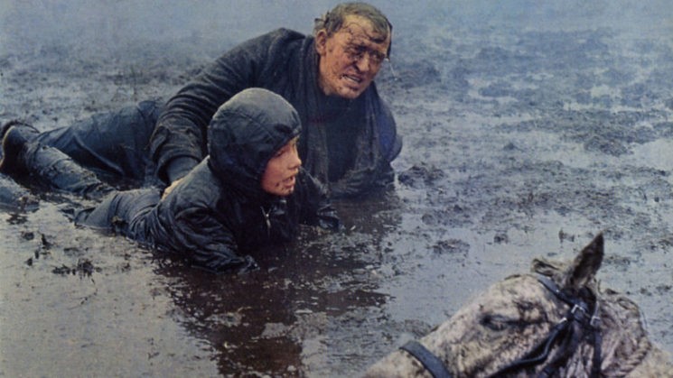 Scene from Run Wild, Run Free (1969)