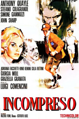 Poster for the movie "Misunderstood"