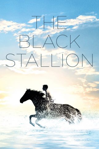 Poster for the movie "The Black Stallion"
