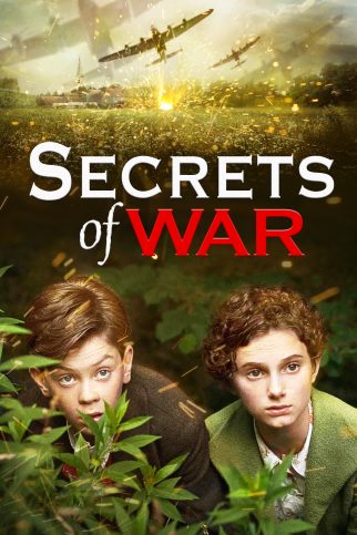 Poster for the movie "Secrets of War"