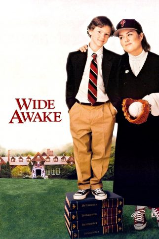 Poster for the movie "Wide Awake"