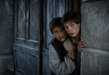 The Notebook (A nagy füzet) Review: A Bleak Ode to the Loss of Innocence The twin brothers peer out at a world they are only beginning to understand—a quiet image that belies the emotional brutality to come.
