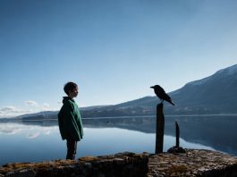The Raven on the Jetty (2015)