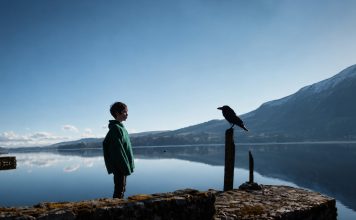 The Raven on the Jetty (2015)